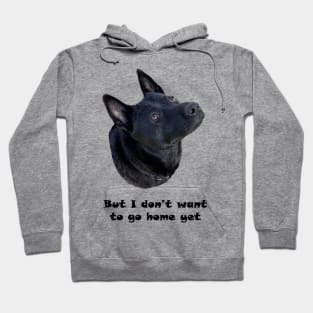 Dog Lover - I Don't Want to Go Home Yet Hoodie